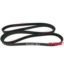 Serpentine Belt for some V6 and V8 Petrol Engines (3889124)