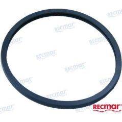Double Thermostat Support Gasket (REC838807)